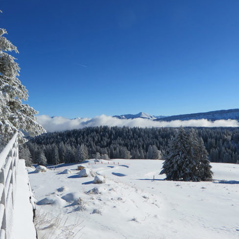 Restaurant Les Quatre Vallées - Massif des Bauges